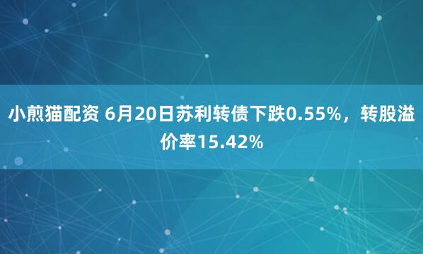 小煎猫配资 6月20日苏利转债下跌0.55%，转股溢价率15.42%