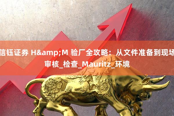 信钰证券 H&M 验厂全攻略：从文件准备到现场审核_检查_Mauritz_环境