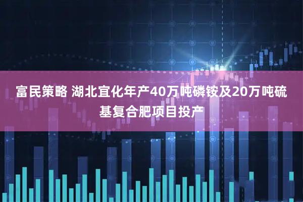 富民策略 湖北宜化年产40万吨磷铵及20万吨硫基复合肥项目投产