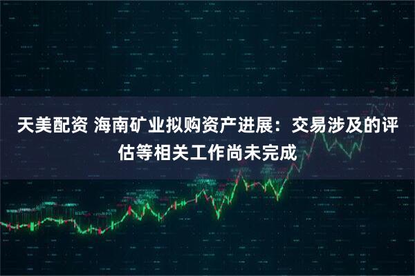 天美配资 海南矿业拟购资产进展：交易涉及的评估等相关工作尚未完成