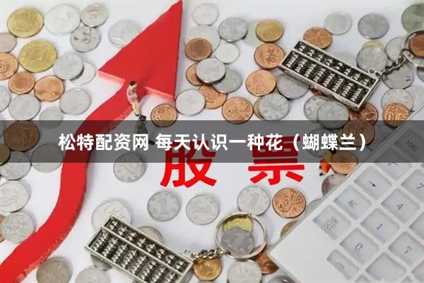松特配资网 每天认识一种花（蝴蝶兰）