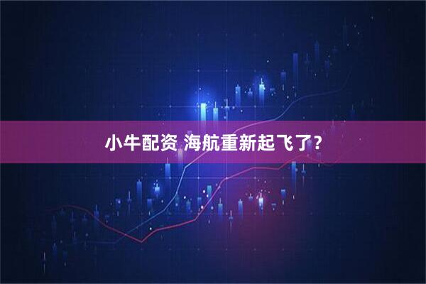 小牛配资 海航重新起飞了？