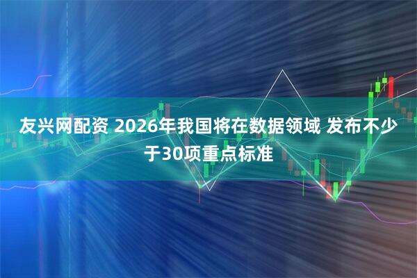 友兴网配资 2026年我国将在数据领域 发布不少于30项重点标准
